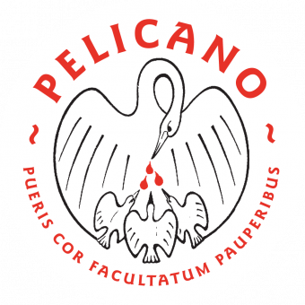 logo pelicano