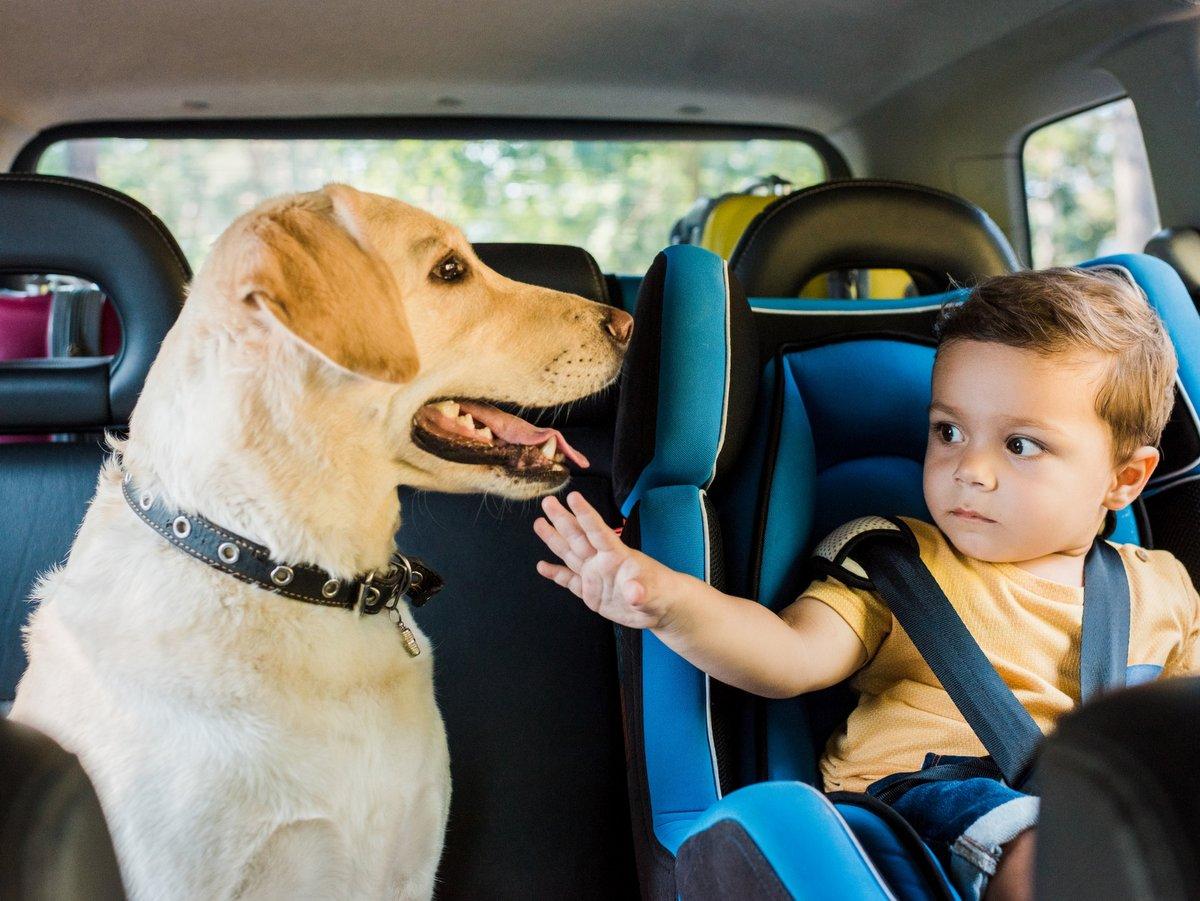 Urlaub mit Kind und Hund Tipps.jpg