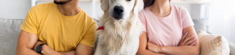 Hund & Trennung: Trennungsschmerz beim Hund erkennen und beheben